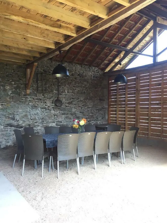 Grand Gite Maison D Alice Auvergne - 15 Personnes Saint-Bonnet-des-Quarts Holiday home
