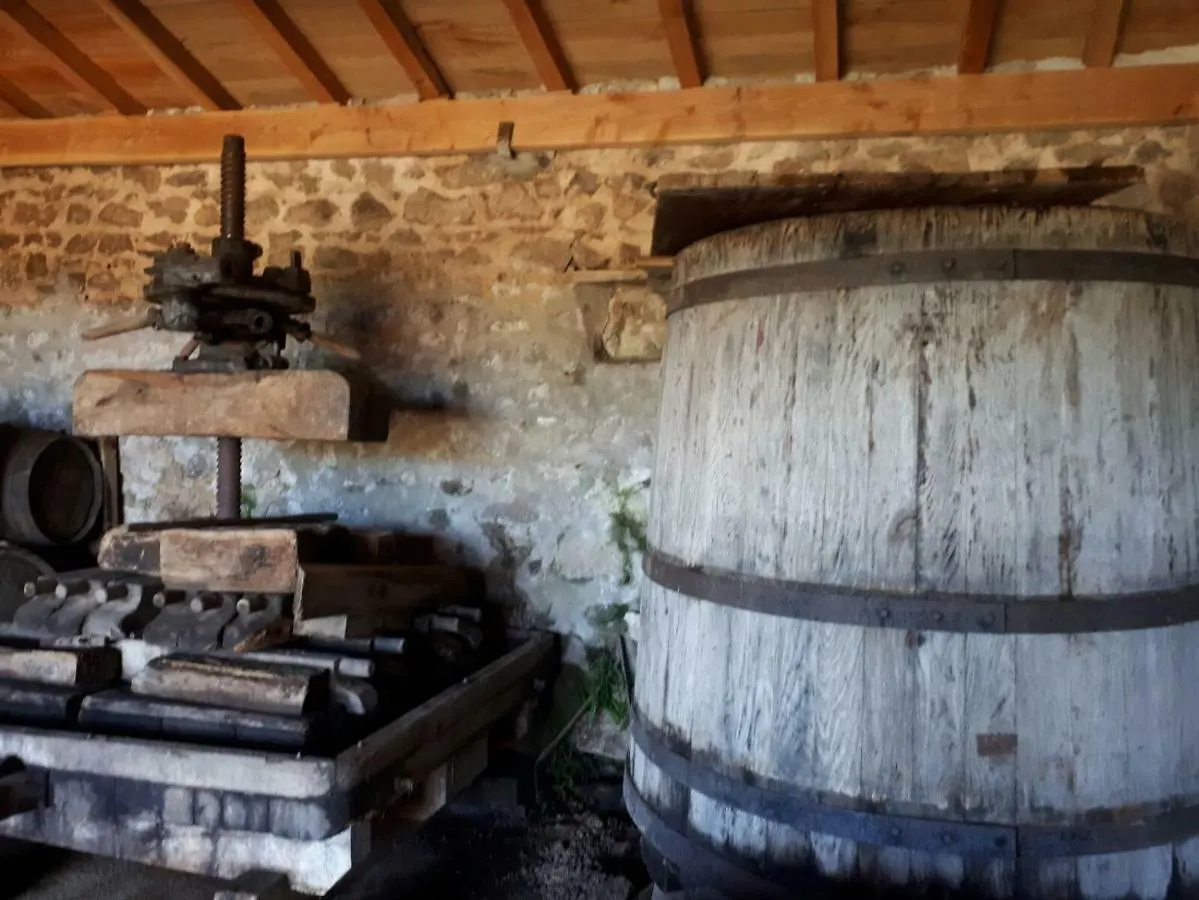 Grand Gite Maison D Alice Auvergne - 15 Personnes Saint-Bonnet-des-Quarts